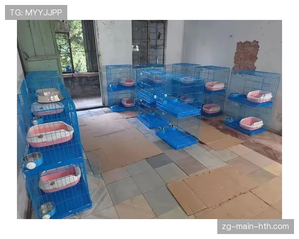 球迷区可携带宠物托管服务点位置与预约
