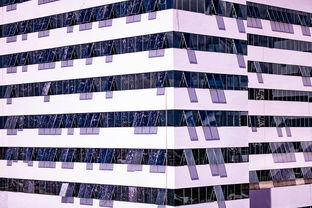 华体会网页登录-体育赛事风险管控体系建设，体育赛事风险防范